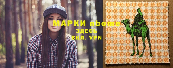 мдпв Вяземский